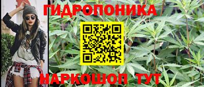ПСИЛОЦИБИНОВЫЕ ГРИБЫ Кинель