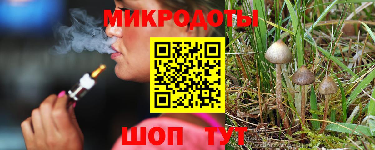 Электросталь  Галлюциногенные грибы Psilocybine cubensis  Вход с VPN 